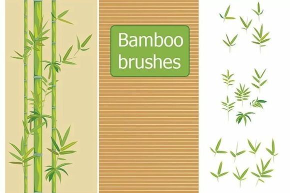 Bamboo Vector Brushes for Designers